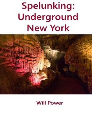 cover image of Underground New York